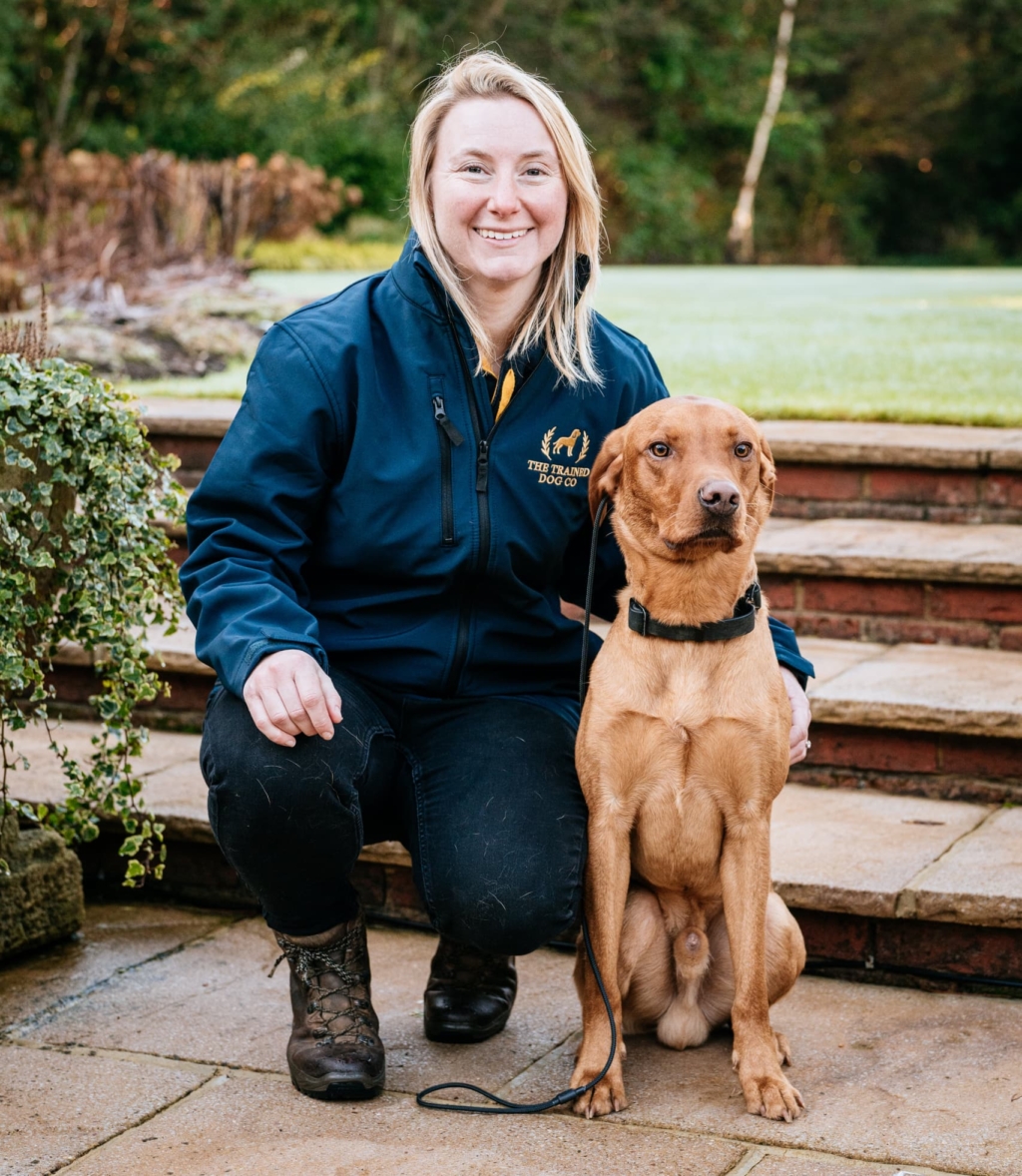Trainer sitting beside trained dog