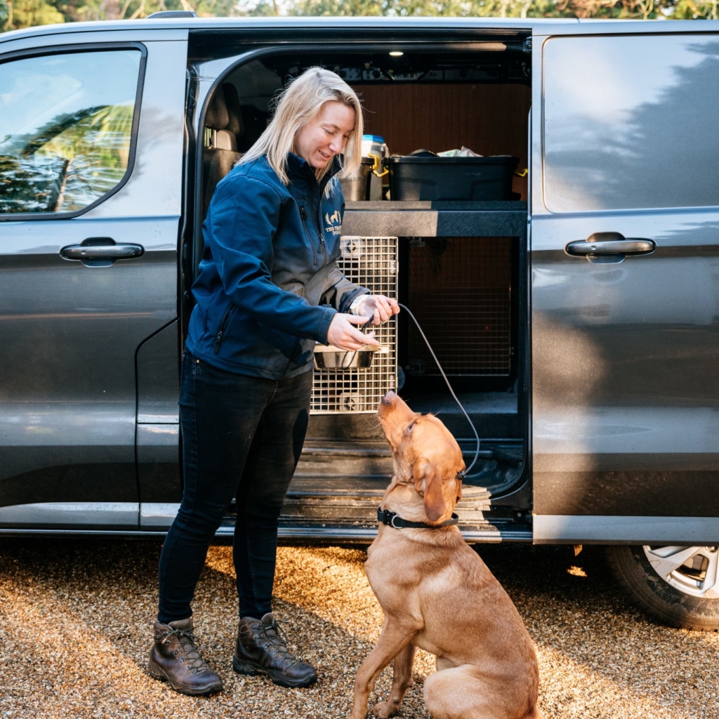 Dog being handled next to a van