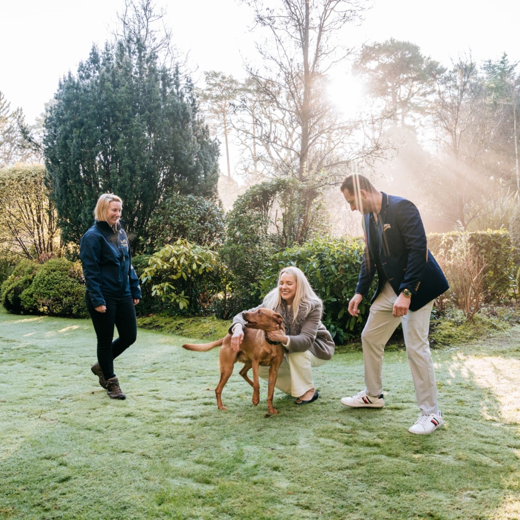 People walking dogs in a large garden