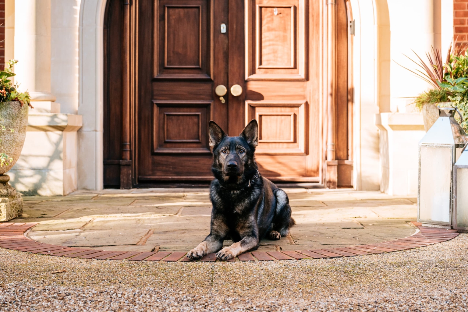 Trained German Shepherd sitting outside front door